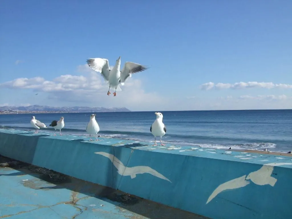 Seaside Hotel Kamome Hakodate Japonia